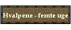 Hvalpene - femte uge