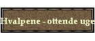 Hvalpene - ottende uge