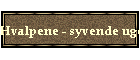 Hvalpene - syvende uge